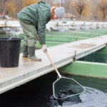 Les défis de la gestion des déchets dans les fermes piscicoles : une préoccupation croissante pour l’industrie aquacole