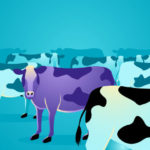 Comment évaluer et améliorer la génétique de votre troupeau bovin