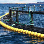 Les innovations technologiques dans la pisciculture : automatisation et surveillance