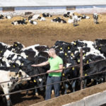 Astuces pour améliorer l’efficacité de la reproduction bovine par insémination artificielle