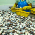 Les avantages économiques de la pisciculture pour les communautés locales
