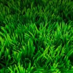 Comment intégrer des équipements modernes dans la Construction d’un court de tennis en gazon synthétique à Nice