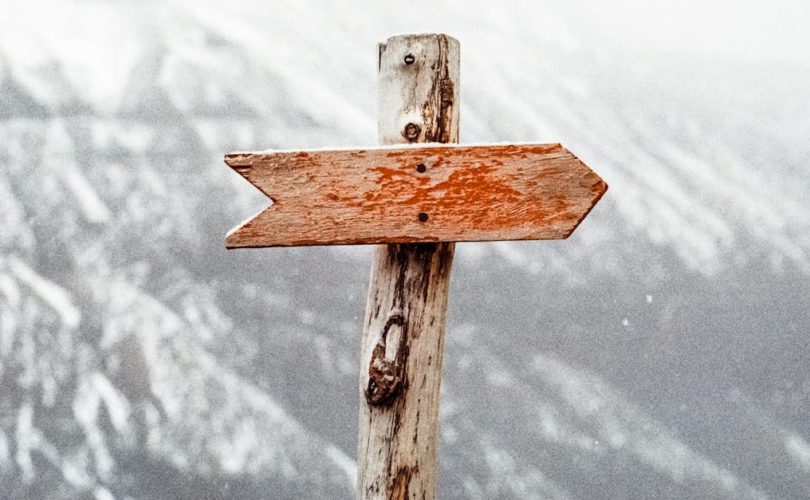 découvrez des stratégies efficaces de lead generation pour attirer et convertir vos prospects en clients. apprenez à optimiser vos campagnes marketing et à utiliser les outils numériques pour maximiser votre retour sur investissement.