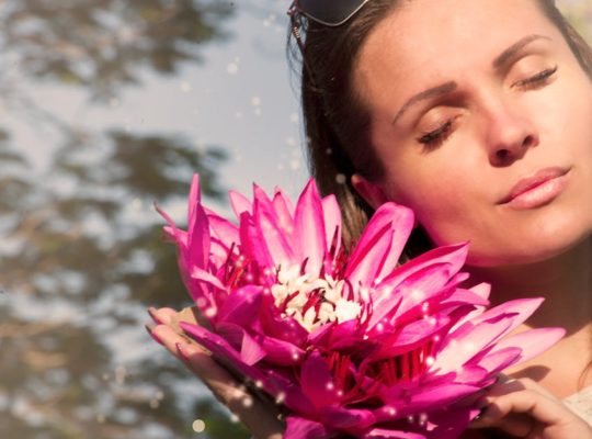 découvrez nos conseils et ressources pour améliorer votre bien-être au quotidien : santé, relaxation, nutrition et équilibre de vie. adoptez une routine wellness adaptée à vos besoins !