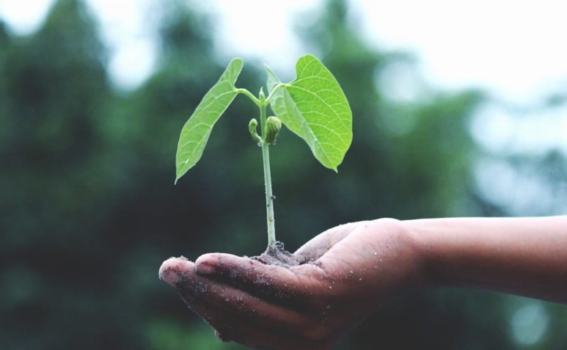 découvrez la durabilité : pratiques, conseils et innovations pour adopter un mode de vie plus respectueux de l’environnement et préserver les ressources pour les générations futures.