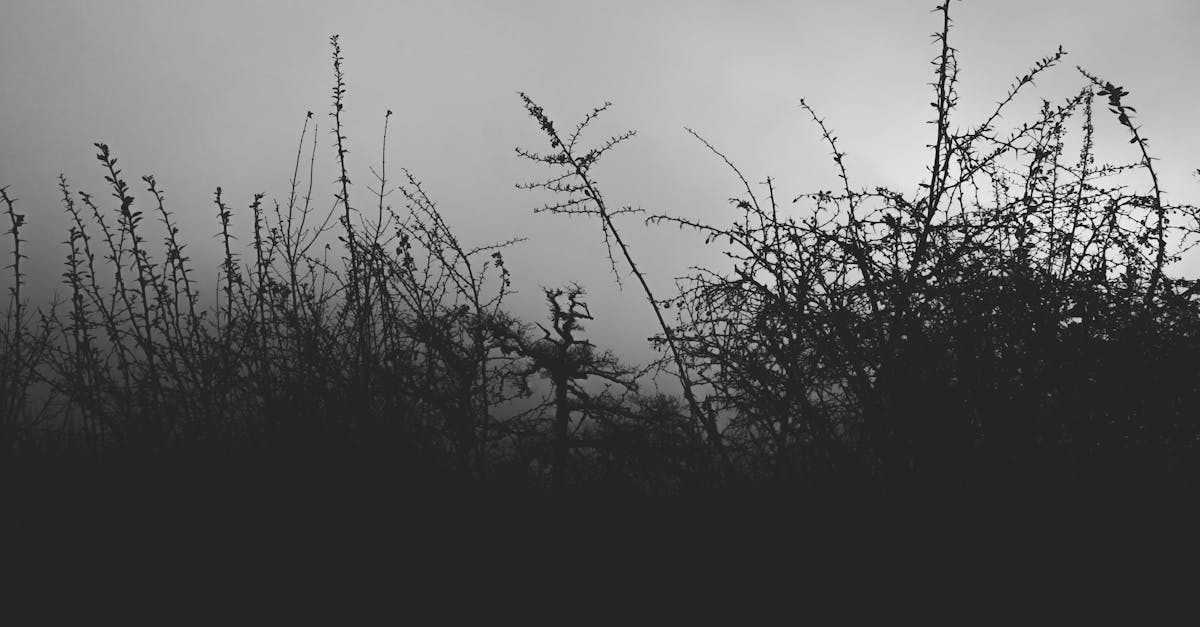 découvrez twity, la plateforme innovante pour partager vos idées, suivre l'actualité et échanger facilement avec une communauté engagée. rejoignez-nous!