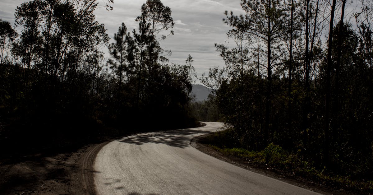 découvrez twity, une plateforme innovante pour partager vos idées, rester informé des tendances et interagir facilement avec une vaste communauté. rejoignez twity pour une expérience sociale unique et dynamique !
