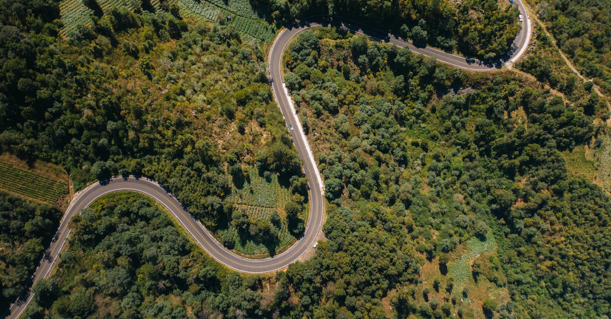 découvrez twity, la plateforme innovante pour partager vos idées, suivre les tendances et interagir facilement avec une communauté dynamique. inscrivez-vous dès maintenant pour ne rien manquer !