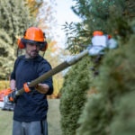 Faut-il toujours un professionnel pour l’élagage à Bretenoux ?