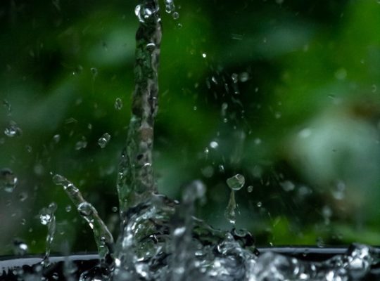 a close up of a water fountain with green plants in the background