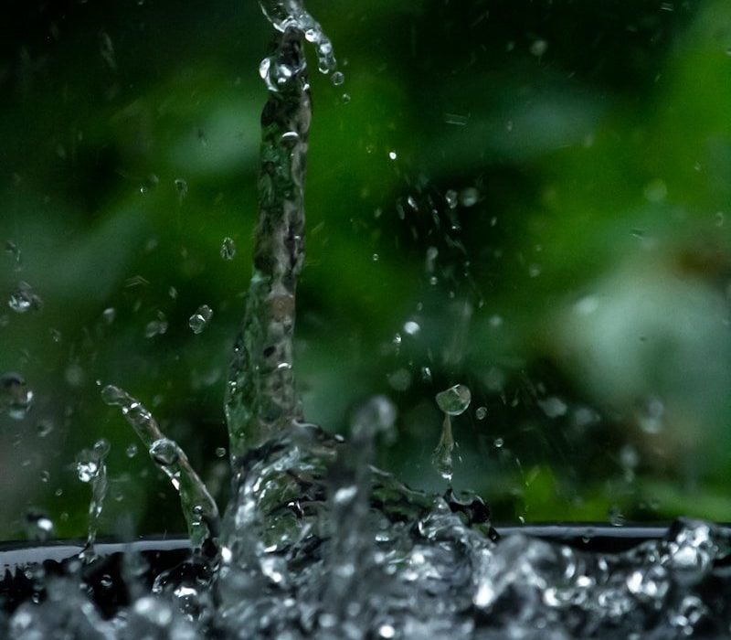 a close up of a water fountain with green plants in the background