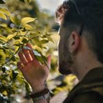 Peut-on faire appel à des paysagistes à Cannes pour créer un jardin nécessitant peu d’entretien ?