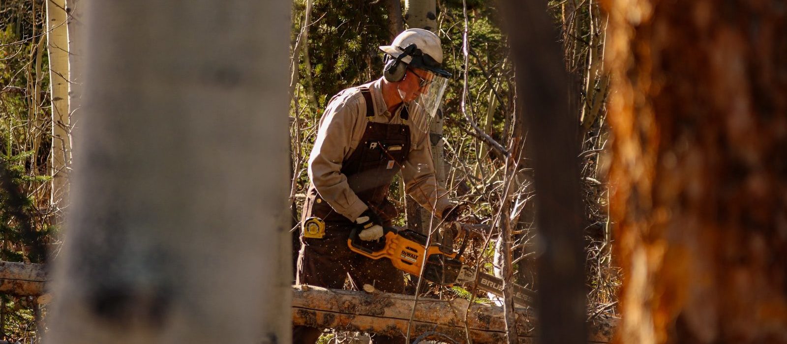 A man with a chainsaw in the woods