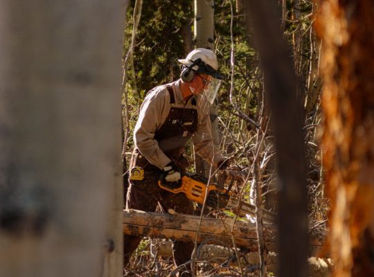 A man with a chainsaw in the woods