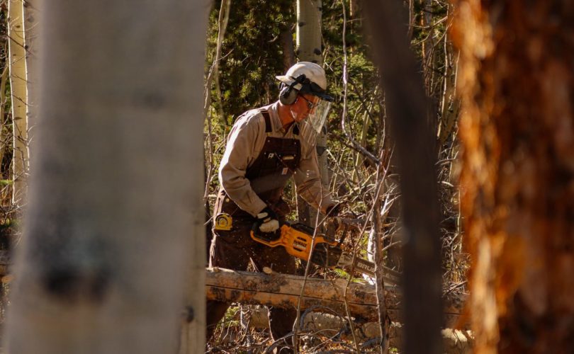 A man with a chainsaw in the woods