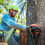 Pourquoi un Élagage à Domont augmente-t-il la sécurité d&rsquo;un terrain ?